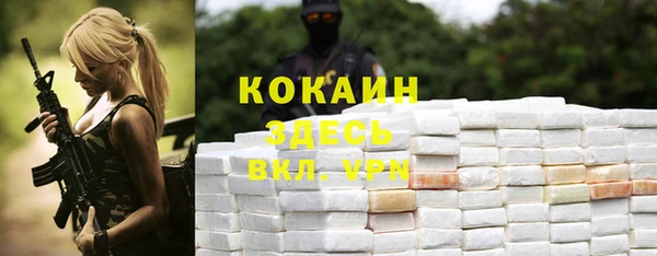 СК Белокуриха
