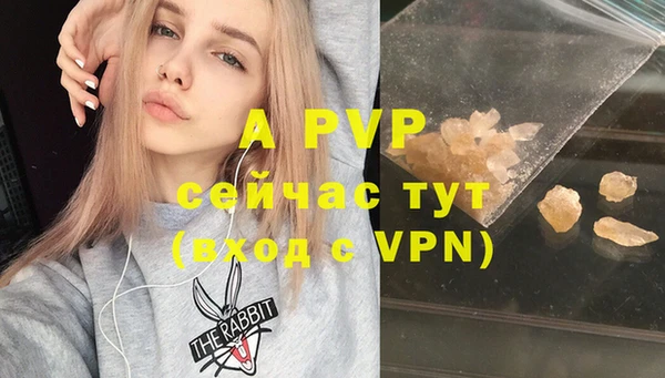 СК Белокуриха