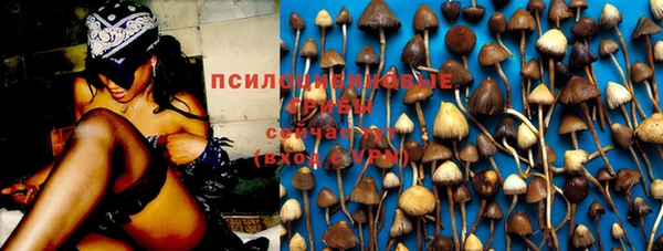 гашик Белая Холуница
