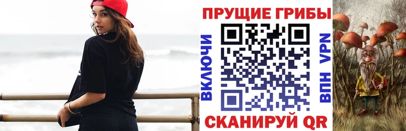 хочу   Болгар  Псилоцибиновые грибы Magic Shrooms 