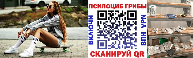 Псилоцибиновые грибы Psilocybe Болгар